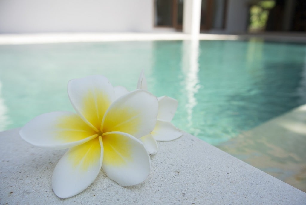 Pourquoi choisir une piscine en kit avec coque en polyester pour votre jardin ?